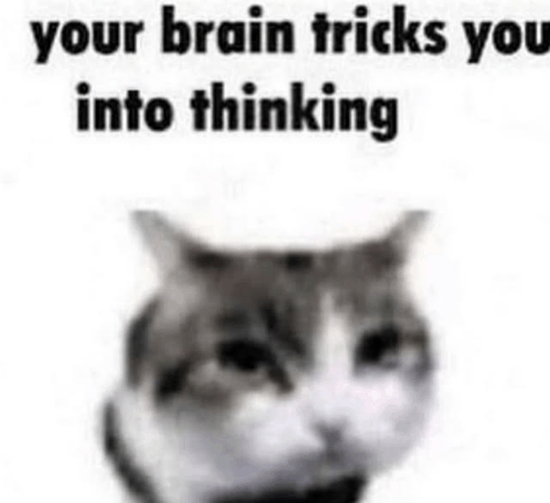 Bitmask visualization